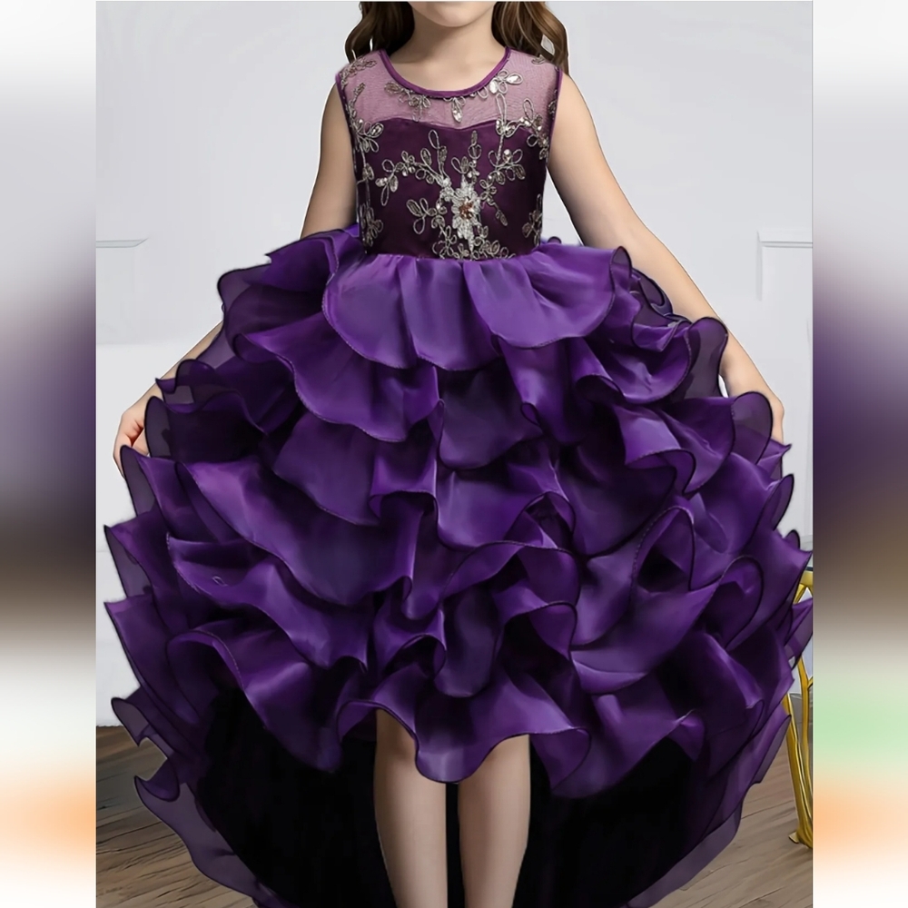NWOT-Gorgeous Girls Purple With Gold Embroidery High-low Dress